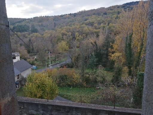 Villa Les Granges Saint-Nectaire Esterno foto